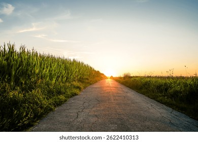 Path through the field in the Möhnetal as the sun sets	