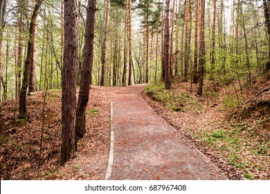 Path through the forest