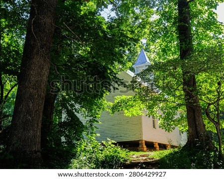 Path Through The Forest to Historic Cades Cove Methodist Church, Cades Cove, Great Smoky Mountains National Park, Tennessee, USA