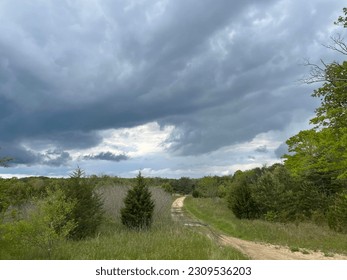Path through a forest under stormy skies