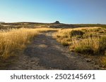 a path through the golden grass