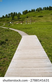 Path through grass to summit. Smooth wooden boardwalk crossing grassy incline toward mountain top. Serene wooden pathway extending over lush vegetation ascending gently to peak