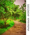 Path Through The Green Meadow 