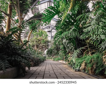 A path through a lush, green jungle. The path is made of bricks and is surrounded by trees - Powered by Shutterstock