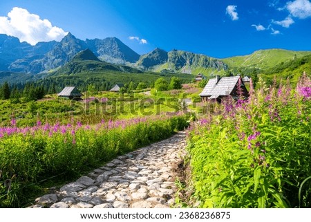 path through a meadow of flowers in the Tatra Mountains with wooden huts in Poland [[stock_photo]] © 