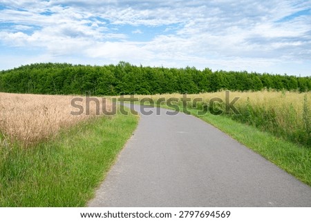 Path through meadow and forest in summer, trail with agricultural fields and deciduous trees, rural countryside landscape in Germany, travel destination