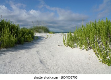 Path Through Pristine Dunes And Native Plants To Sunny Gulf Coast Beach.