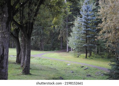 Path Through Rainbow Park Early Morning In September