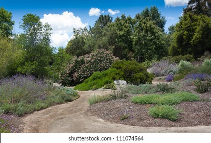 Imagenes Fotos De Stock Y Vectores Sobre Los Angeles Botanical