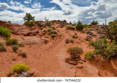 path through red sand dunes and stone piles
Dry Fork, Grand Staircase Escalante National Monument, Garfield County, Utah, USA