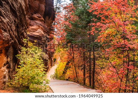 Path through Refrigerator Canyon towards Angels Landing in Zion Canyon National Park, Utah.