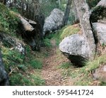 Path through the rocks and trees in Armidale nsw