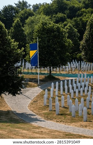 Path through rows of white war cemetery headstones lined with trees