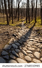 Path Through Trees Featuring Mosscovered Rocks And Scattered Sunlight 