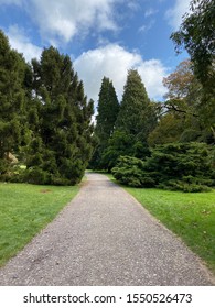 Path Through The Trees At Westonbirt Arboretum