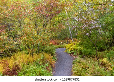 Wild Gardens Acadia Images Stock Photos Vectors Shutterstock