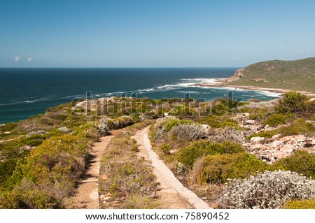 Path through the wilderness