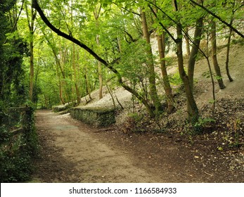 Path through woodland in the Humber Bridge Country Park, East Yorkshire, England