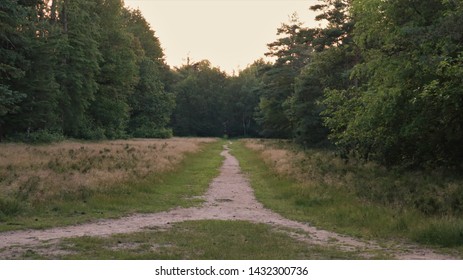 Path Through The Woods, Coming Together