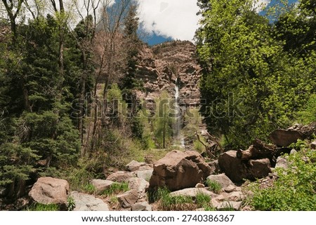 A path of trees and boulders to Cascade Falls in Ouray, Colorado.