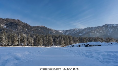 The path is trodden in a snow-covered valley between snowdrifts. Mountain range and coniferous forest against the blue sky. Altai