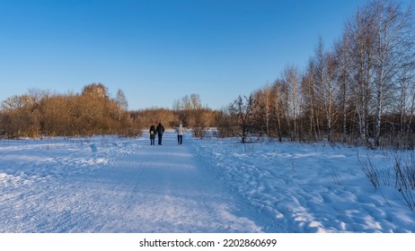 A Path Trodden Through Snowdrifts. Three People Are Leaving On The Road. Back View. Bare Trees Against A Clear Blue Sky. Copy Space. Altai