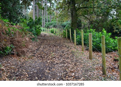 Path to the unknown