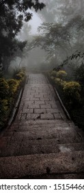 The path to the unknown.