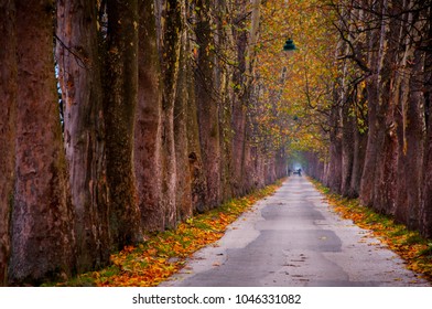 Path To Vrelo Bosne 