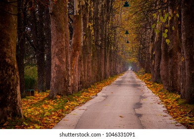 Path To Vrelo Bosne 