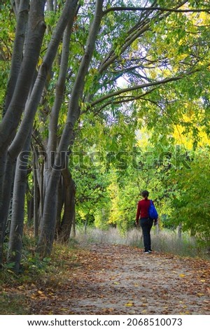 Path to walk in a very beautiful natural environment of the Fuentes de Marqués in Caravaca de la Cruz in Murcia