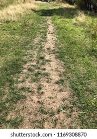 Path for walking