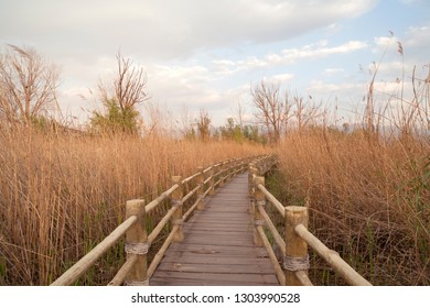 the path walkway through wetlands, milford track,