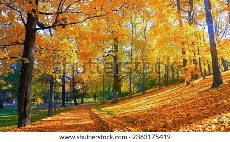 Similar – Image, Stock Photo Autumn Park trees Forest