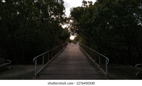 Path way in the dark
