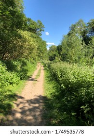 A Path In The West Stow Park Near Bury St Edmunds In Suffolk