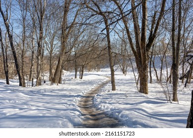 A Path In A Winter Forest On A Clear Sunny Day