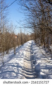 A Path In A Winter Forest On A Clear Sunny Day