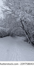 Path in winter with snow covered trees