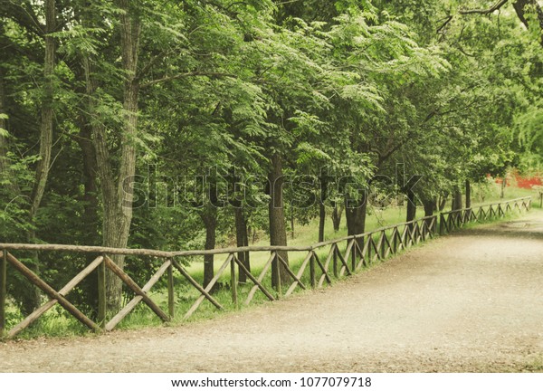   a path in a wooded area with a railing that\
divides the path of the forest