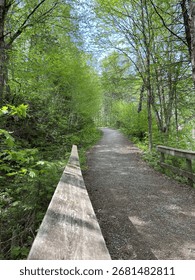 A Path with a Wooden Railing and Trees