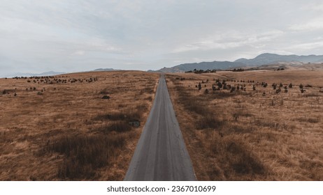 a pathless road in the middle of nowhere