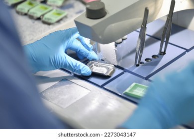 A pathologist is preparing a pathological biopsy for laboratory diagnosis of pathology.