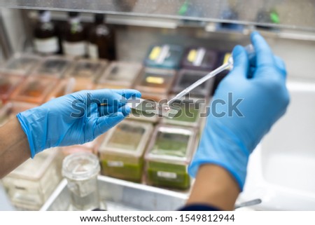 The pathologist is preparing a slide for the pathologist to diagnose.