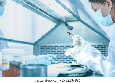 pathologist preparing tissue biopsy sample for microscope slide. Medical scientist analyzing disease diagnosis in hospital laboratory. Lab technician analyzing dna sample in sterile research facility.