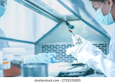 pathologist preparing tissue biopsy sample for microscope slide. Medical scientist analyzing disease diagnosis in hospital laboratory. Lab technician analyzing dna sample in sterile research facility.