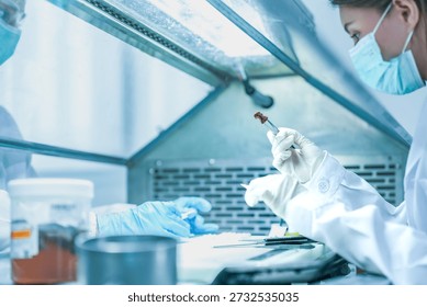 pathologist preparing tissue biopsy sample for microscope slide. Medical scientist analyzing disease diagnosis in hospital laboratory. Lab technician analyzing dna sample in sterile research facility.