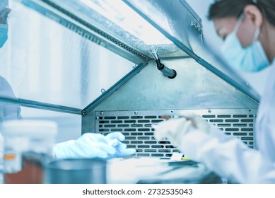 pathologist preparing tissue biopsy sample for microscope slide. Medical scientist analyzing disease diagnosis in hospital laboratory. Lab technician analyzing dna sample in sterile research facility.