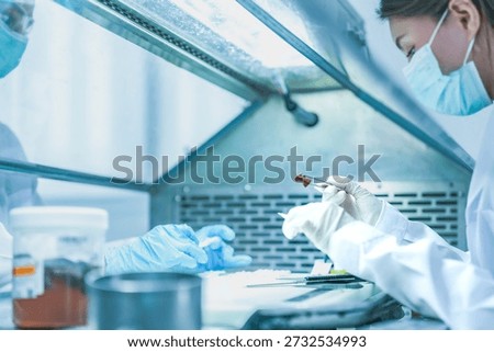 pathologist preparing tissue biopsy sample for microscope slide. Medical scientist analyzing disease diagnosis in hospital laboratory. Lab technician analyzing dna sample in sterile research facility.
