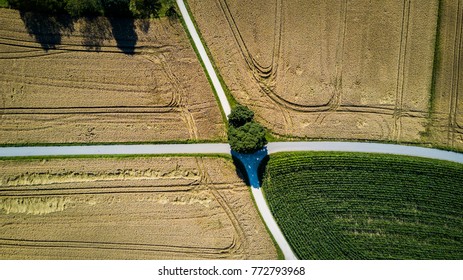 Paths and Fields